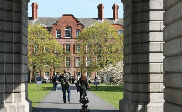 Protect Your Students: Develop Strategies to Increase Campus Safety for a Healthy College Experience