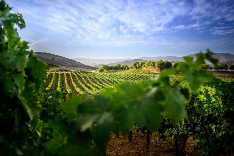 How to Tailor Your Outreach for Rural Communities