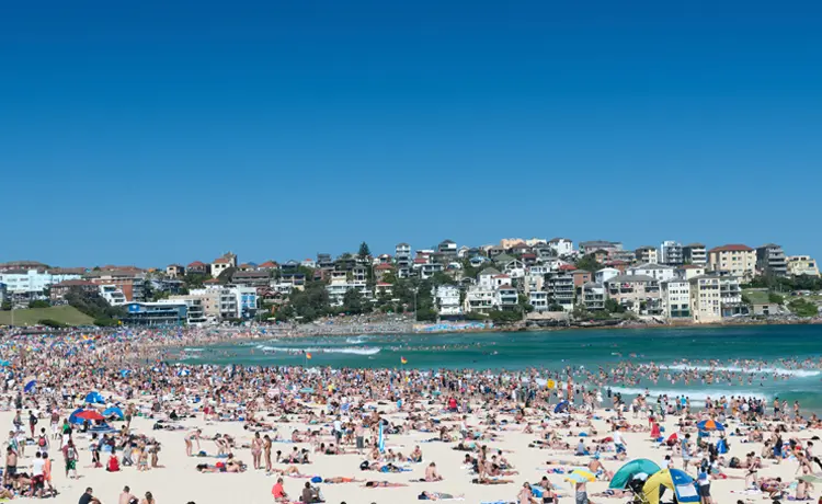 Traveler Health: Need vaccinations for your next destination?